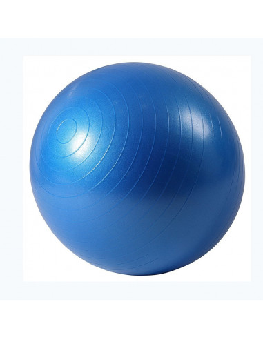 ISE Ballon de gymnastique Anti-éclatement - Ballon d'exercice 45cm de Diamètre avec Pompe Bleu SY-2001BL55-FR
