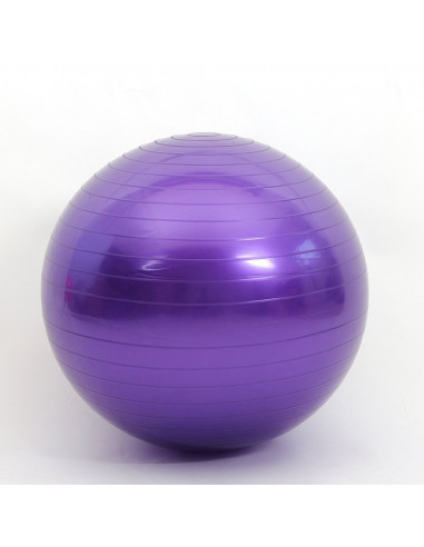ISE Ballon de gymnastique Anti-éclatement - Ballon d'exercice 45cm de Diamètre avec Pompe Violet SY-2003PP55-FR