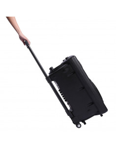Altoparlante PA portatile ISE Altoparlante Karaoke 12"/30 cm 700W LED RGB SY-14009