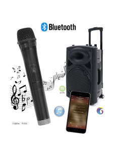 ISE Portable PA Speaker Karaoke Speaker 15"/38cm 900W SY-14010